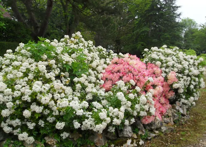 D'hôtes Manoir Du Buquet Alojamento de Acomodação e Pequeno-almoço Honfleur