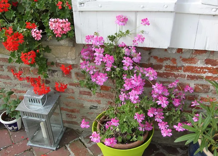 D'hôtes Manoir Du Buquet Honfleur