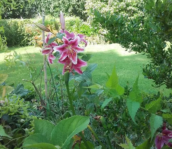D'hôtes Manoir Du Buquet Honfleur