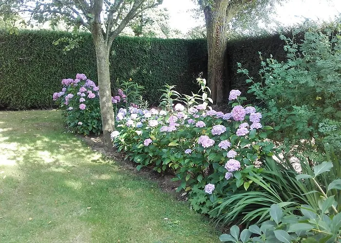 D'hôtes Manoir Du Buquet *