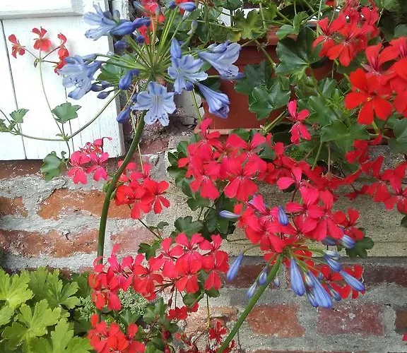 D'hôtes Manoir Du Buquet * Honfleur