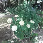 Nocleg ze śniadaniem D'hotes Manoir Du Buquet *