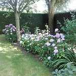 D'hotes Manoir Du Buquet *