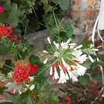 Nocleg ze śniadaniem D'hotes Manoir Du Buquet