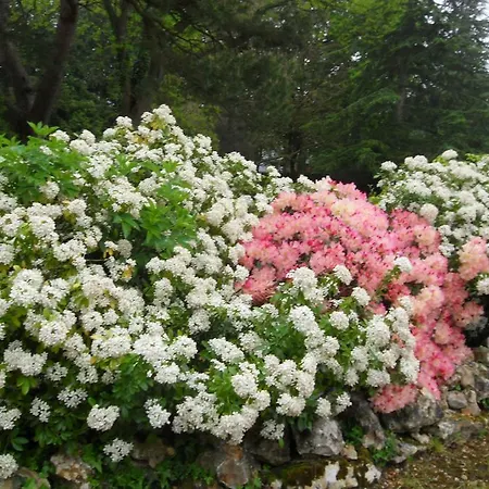 D'hotes Manoir Du Buquet Отель типа 