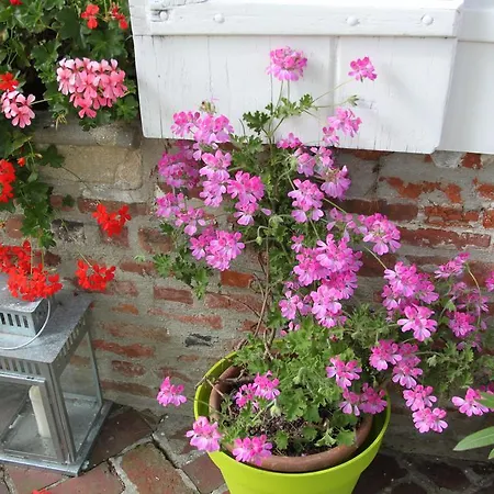 D'hotes Manoir Du Buquet Онфлёр