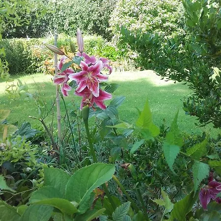 D'hotes Manoir Du Buquet Онфлёр