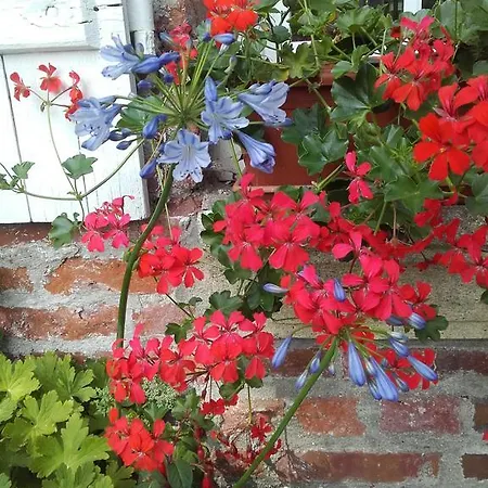 D'hotes Manoir Du Buquet * Онфлёр