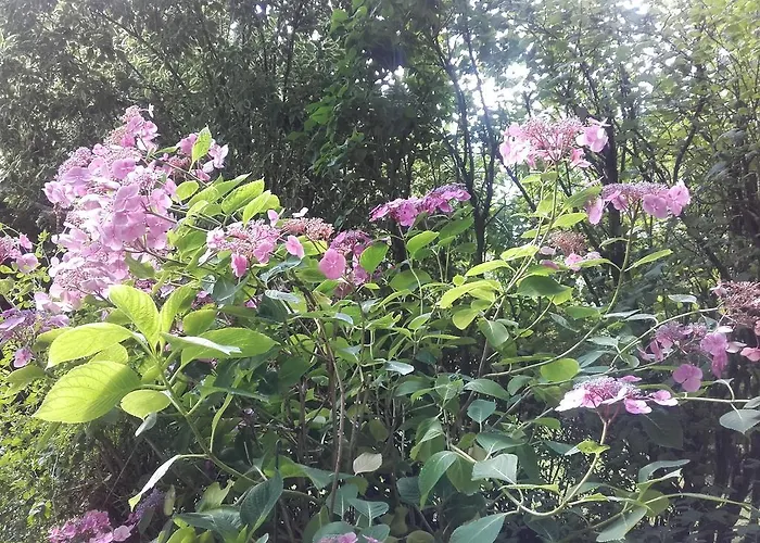 Bed & Breakfast Chambres D'hotes Manoir Du Buquet Honfleur